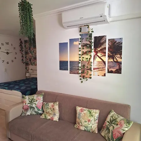 Tenerife 18 סן מיגל דה אבונה